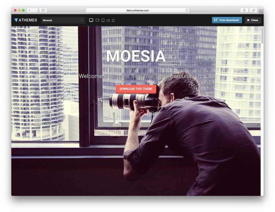 The Moesia demo page.